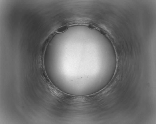 X0000068811211200605191758