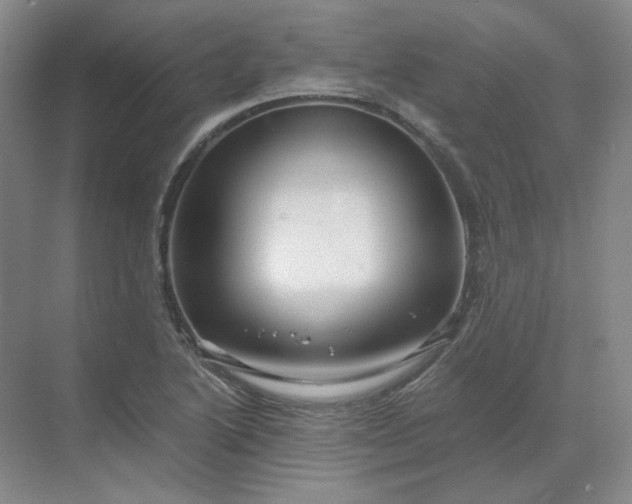 X0000068811222200605191758