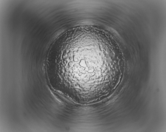 X0000068811225200605191758