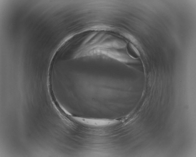 X0000068811229200605191758