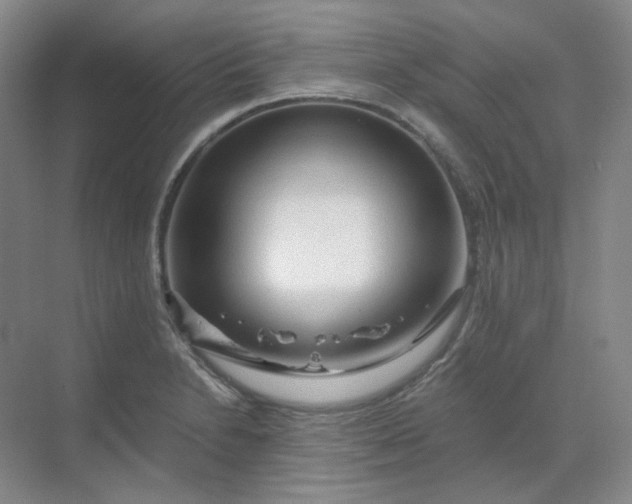 X0000068811230200605191758