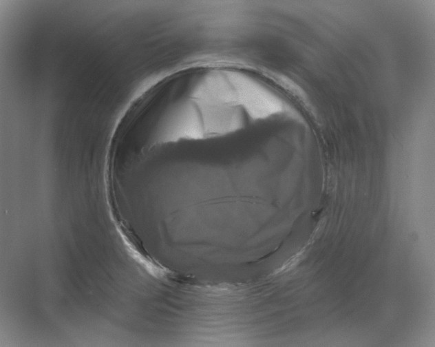 X0000068811231200605191758