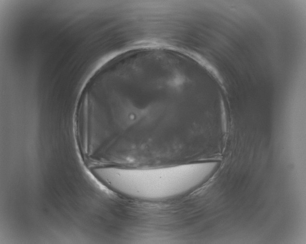 X0000068811239200605191759