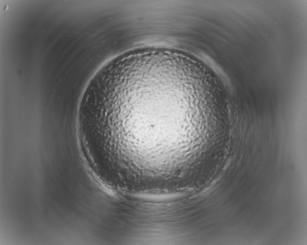 X0000068811240200605191759