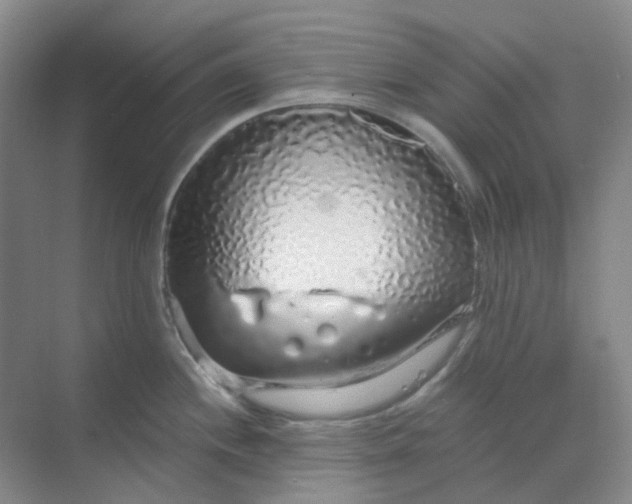X0000068811244200605191759