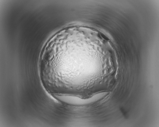 X0000068811247200605191759