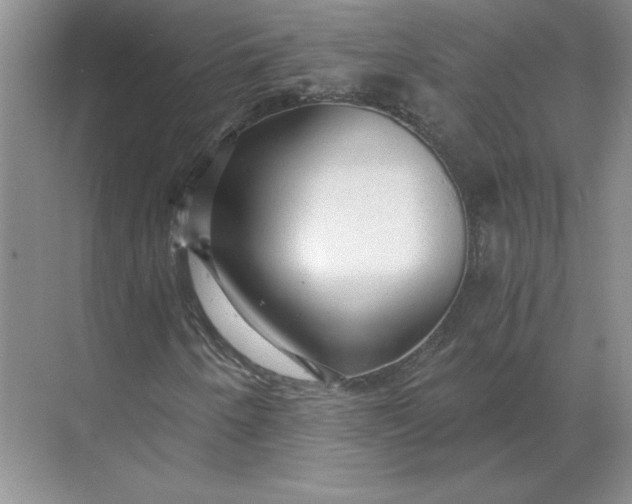 X0000068811250200605191758