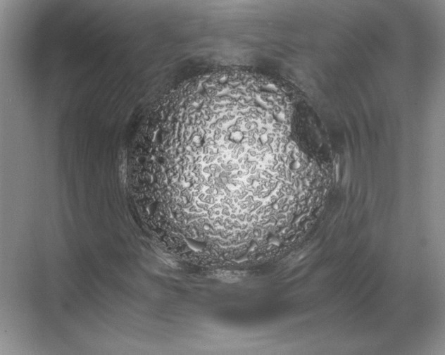 X0000068811251200605191758