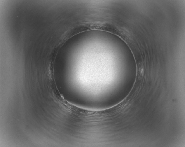 X0000068811252200605191758