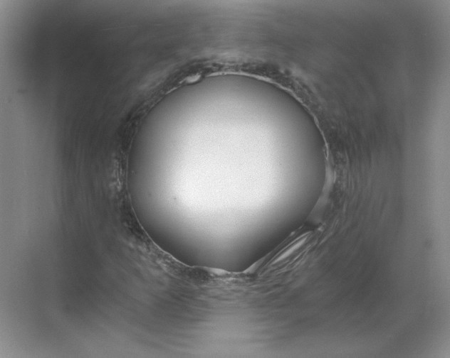 X0000068811253200605191758