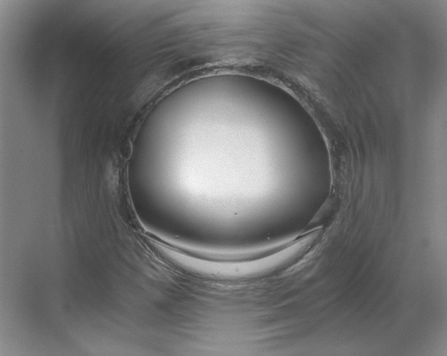 X0000068811257200605191758