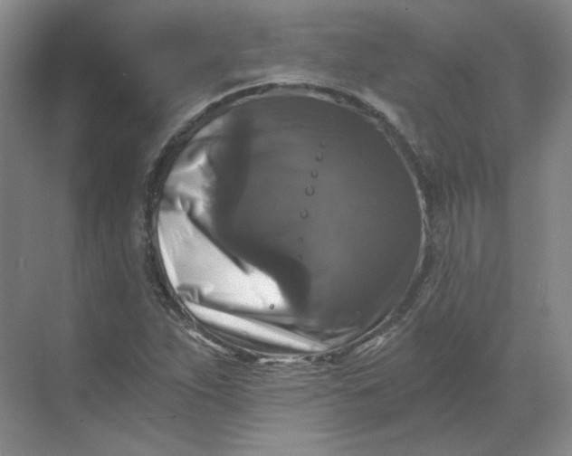 X0000068811263200605191758