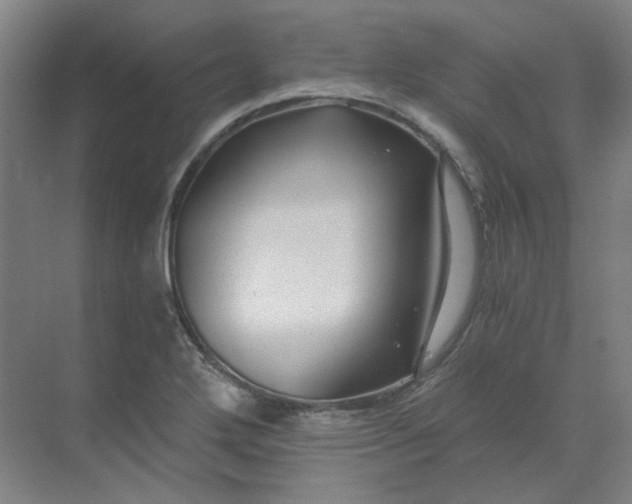 X0000068811272200605191758