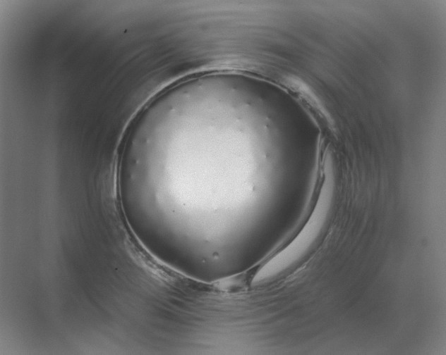 X0000068811276200605191758