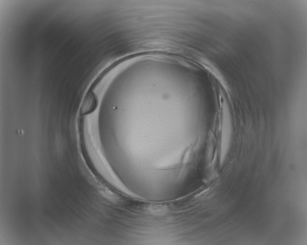 X0000068811291200605191757