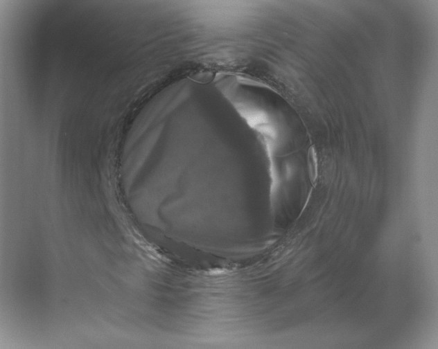 X0000068811297200605191756
