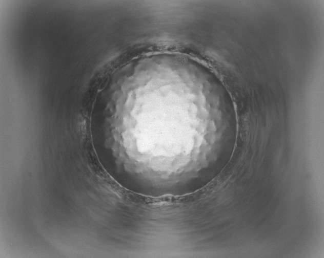 X0000068811302200605191756
