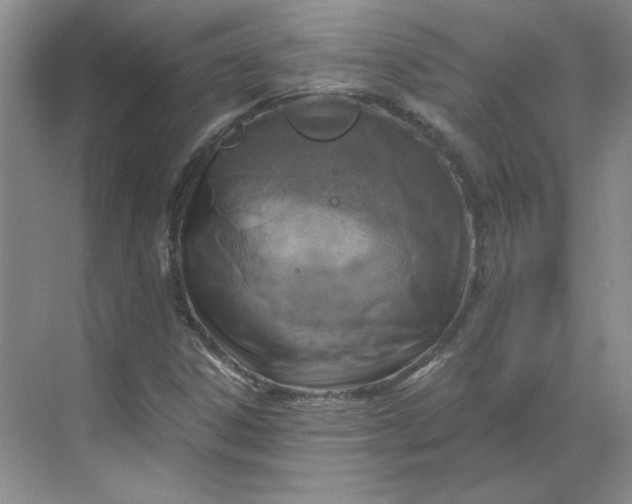 X0000068811306200605191757