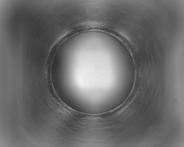 X0000068811309200605191757