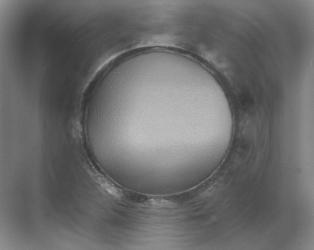 X0000068811312200605191757