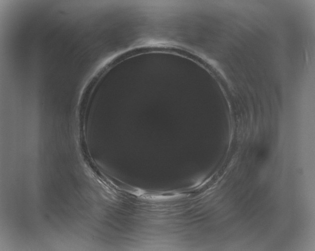 X0000068811319200605191757
