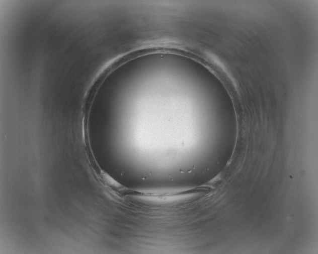 X0000068811320200605191757