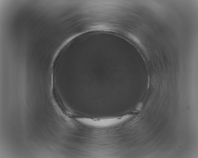 X0000068811323200605191757