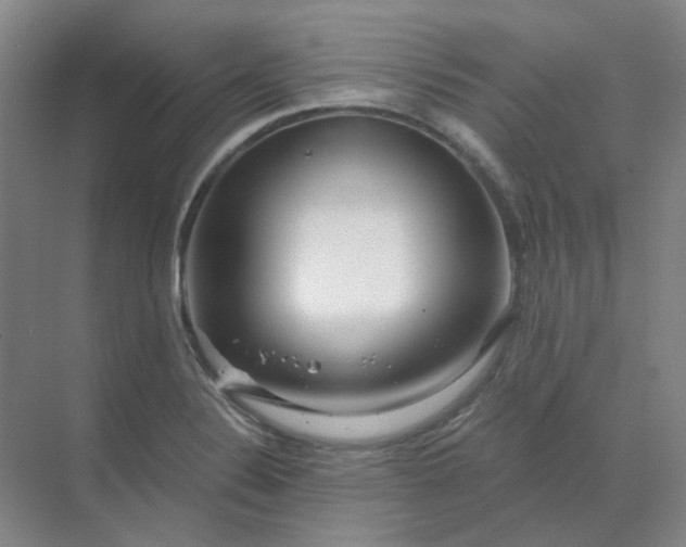 X0000068811324200605191757