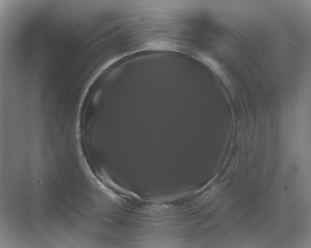 X0000068811331200605191757