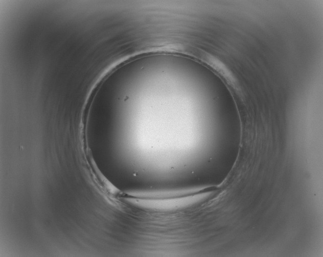 X0000068811332200605191757