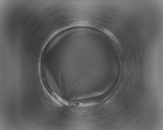 X0000068811334200605191757