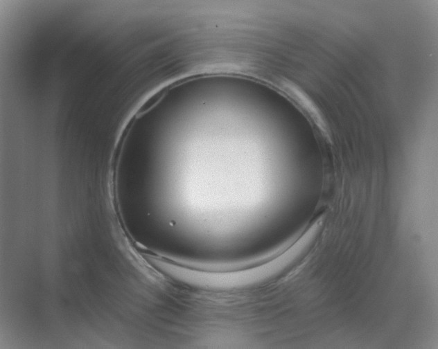 X0000068811340200605191757