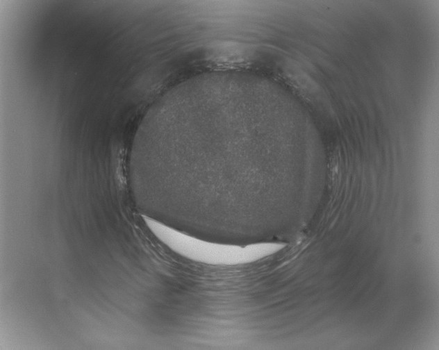 X0000068811346200605191756