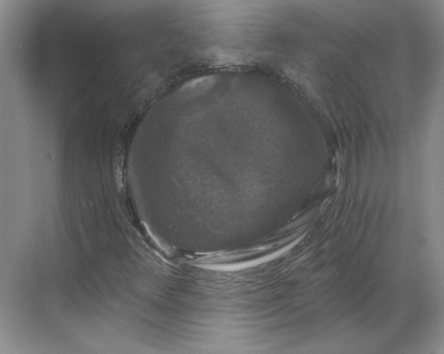 X0000068811348200605191756