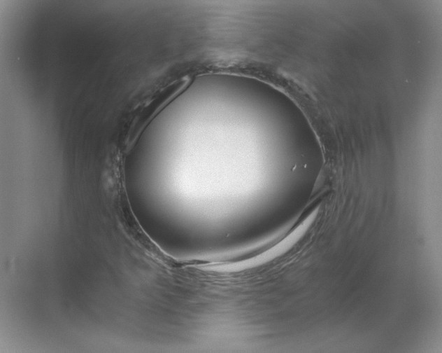 X0000068811349200605191756