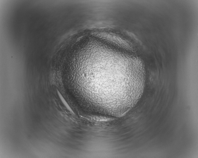 X0000068811350200605191756