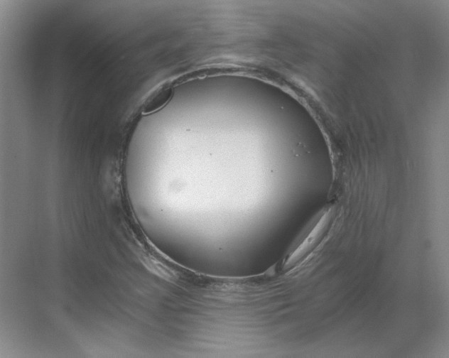 X0000068811355200605191756