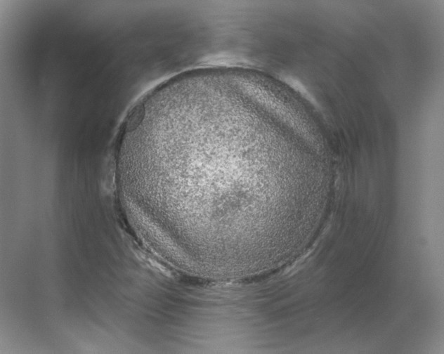 X0000068811358200605191756