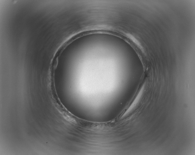 X0000068811364200605191756