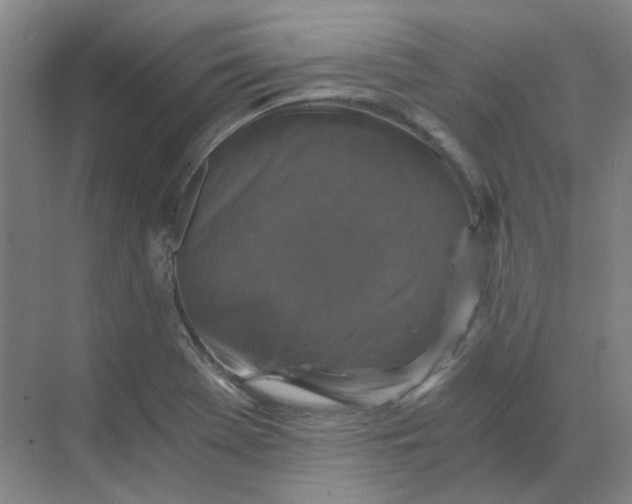 X0000068811369200605191756