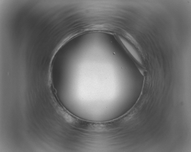 X0000068811370200605191756