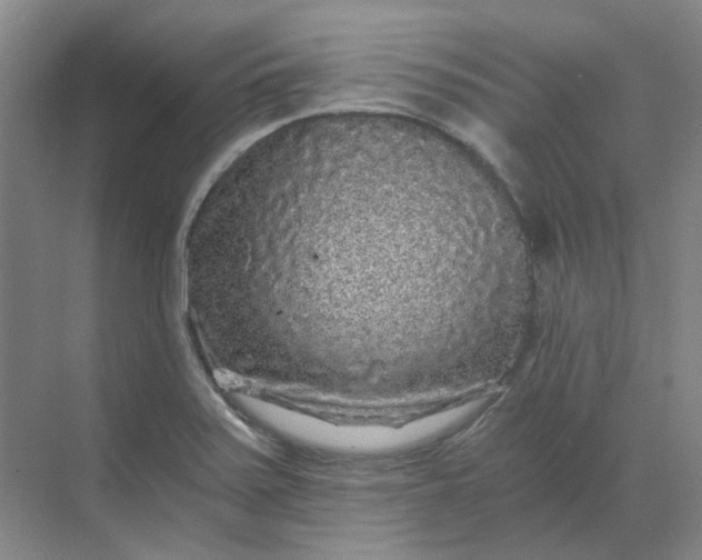 X0000068811371200605191756