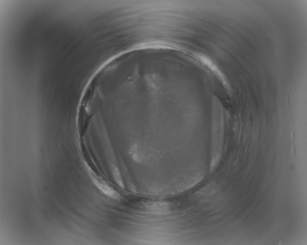 X0000068811372200605191756