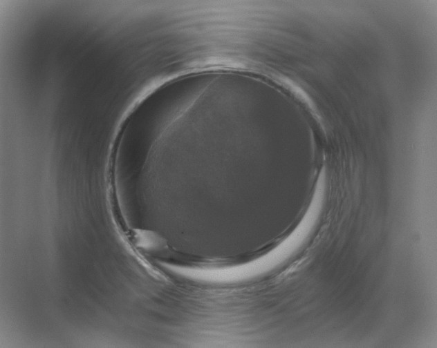 X0000068811373200605191756