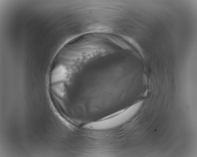 X0000068811383200605191756