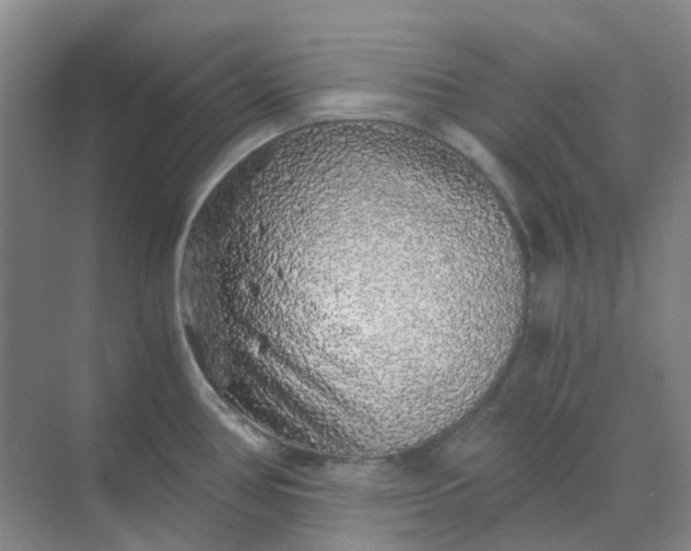 X0000068811386200605191756