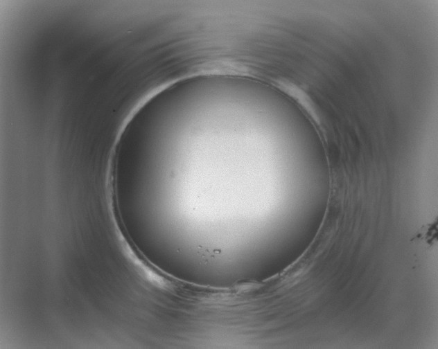 X0000068811387200605191756