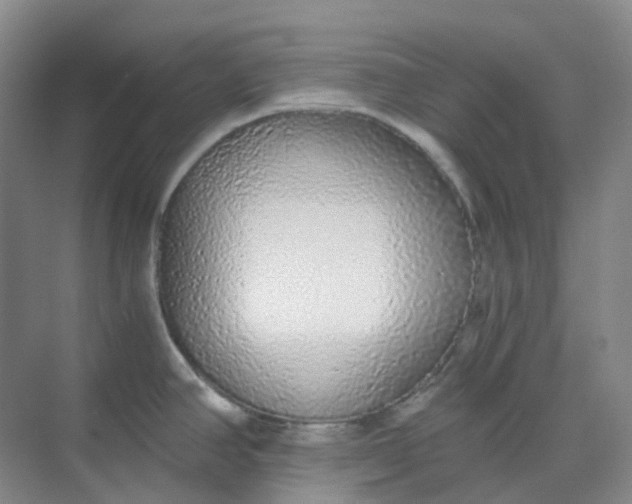 X0000068811390200605191756