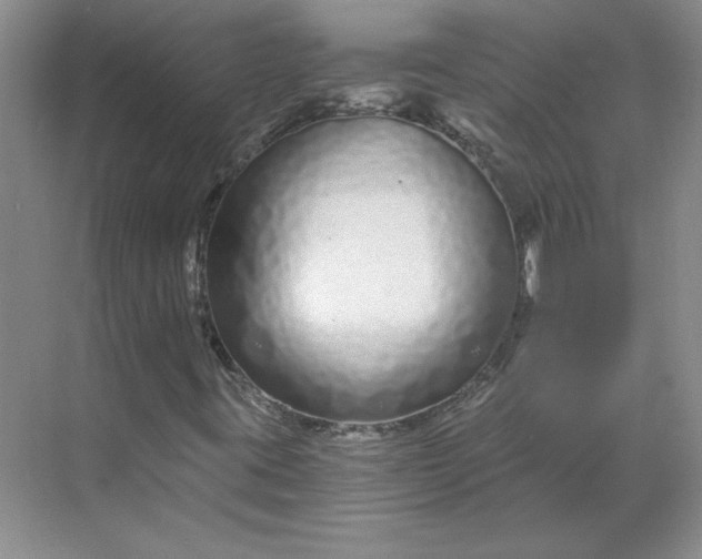 X0000068811395200605191755