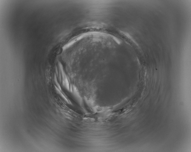 X0000068811399200605191755